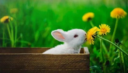 东亚足球锦标赛即将打响，各队备战情况一览