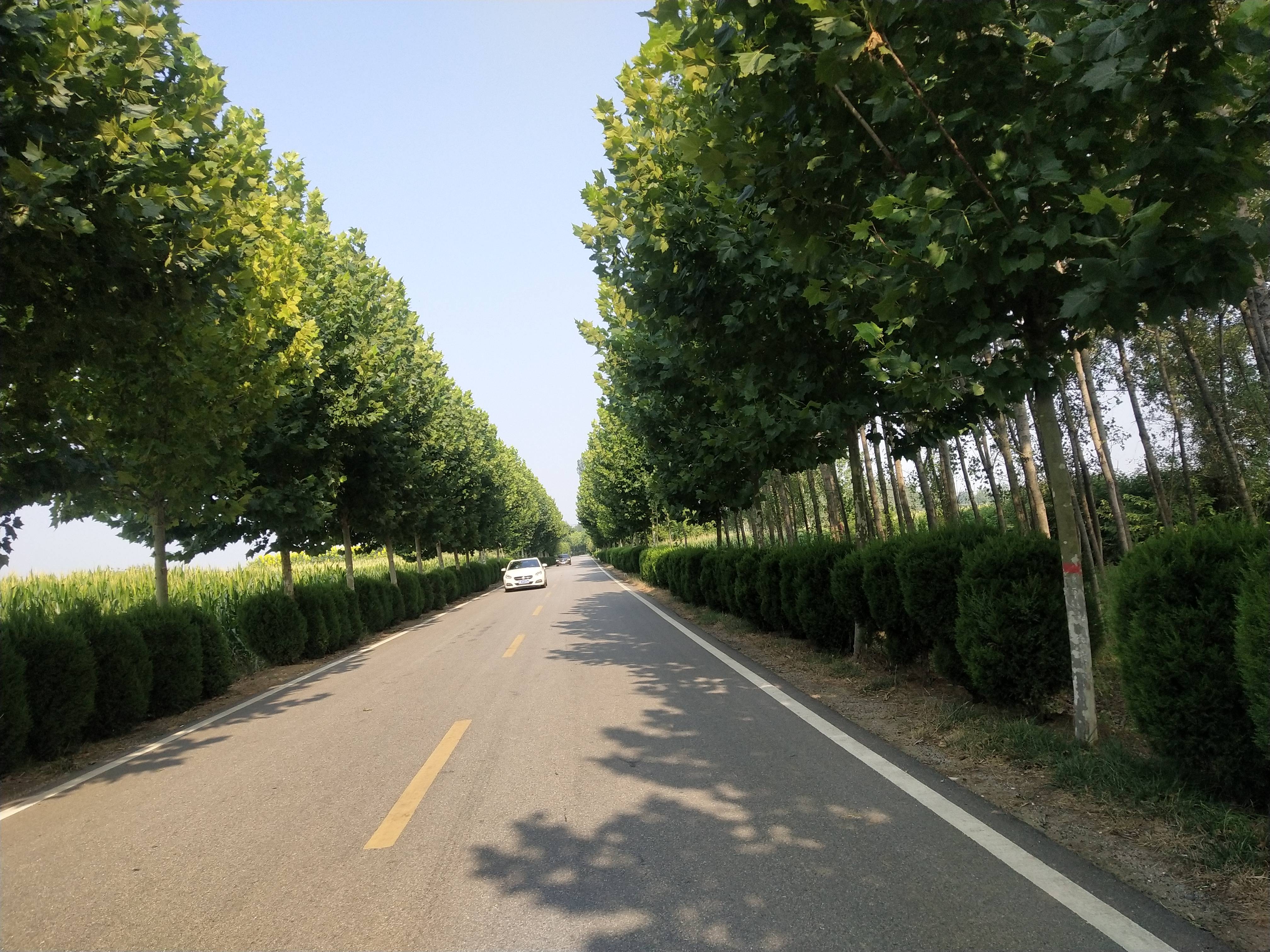 关于乡村振兴新动能：青少年篮球“梦想舞台”走进偏远乡村的信息