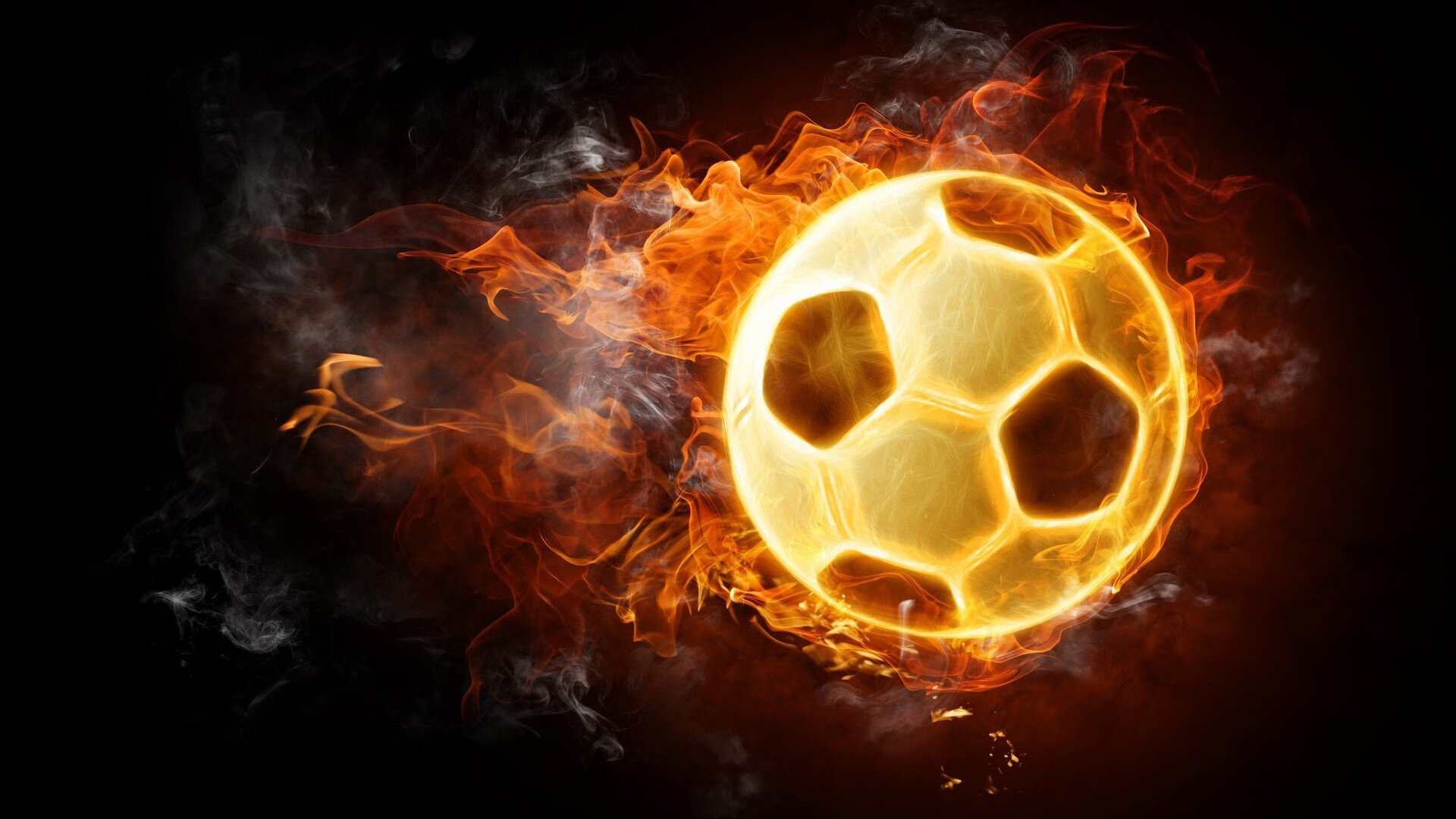 野外生存技能运动会，体验自然的考验，野外生存活动