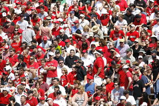 体育赛事观众满意度影响因素研究，体育赛事关注度